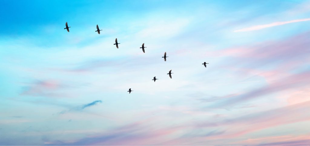 Introduction to Servant Leadership course visual for emerging leaders